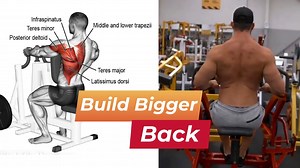 THE BEST BACK WORKOUT TO BUILD YOUR BACK