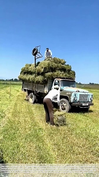 Loading the Bales: How an Automatic Feeder Tosses Hay Into the Truck