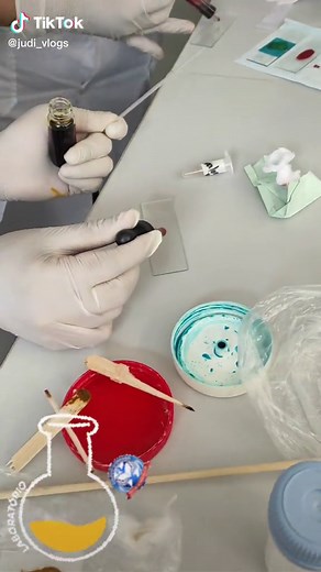 Examen Coproparasitológico: Entamoeba coli, Ascaris lumbricoides, Hymenolepis nana