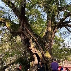 257 reactions · 16 shares | Located along the Duliujiang River, an...