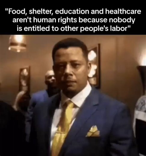"Food, shelter, education and healthcare aren't human rights because nobody is entitled to other people's labor" - iFunny