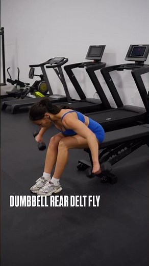 Dumbbell rear delt fly exercise demo
