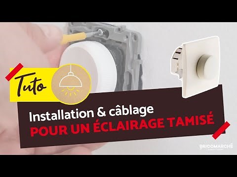 Comment brancher un variateur de lumière ? I Bricomarché