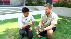 8.5K views · 65 reactions | What would you do if you saw a ball...