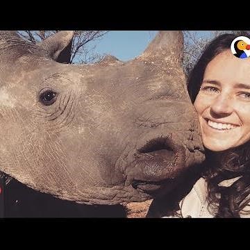Girl Is Mom to Baby Rhinos | The Dodo