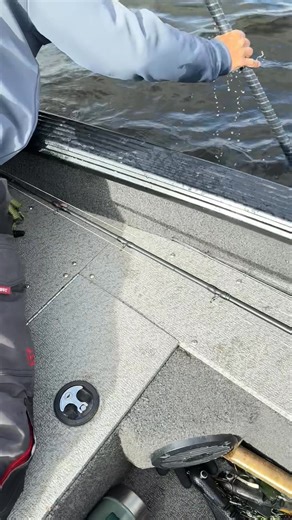 Andrew Walker on Reels