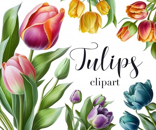 Tulip Clipart, Tulip PNG, Watercolor Tulips, Tulips Illustration, Spring Flowers, Transparent Background, Commercial Use, Floral Clipart - Etsy