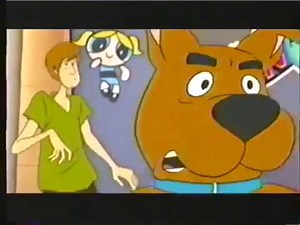 Cartoon Network Commercial Scrappy Doo Rants