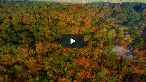 Experience Greystone