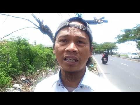 Fallen tree in Citemu area