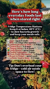 Fridge Temperature Matters: Keep It Cold, Keep It Safe #FoodSafety #KitchenTips #FridgeFacts #HealthyLiving #FBLifestyle | Time Facts