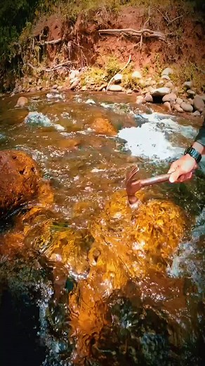 Excel the gold mining skills #uktiktok🇬🇧uk #fyppp #viralvideos #goldmining #goldhunt