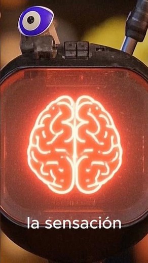 SENSACION #psicologia #aprendizajecorto