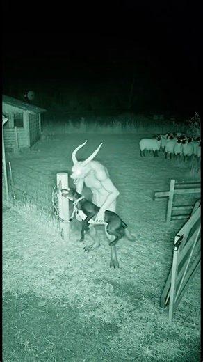 😈 HORNS in the Night! Trail Cam Captures Terrifying Creature Fighting Guard Dog (Real Cryptid?)