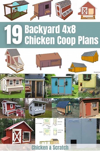 19 Backyard 4x8 Chicken Coop Plans You Can DIY