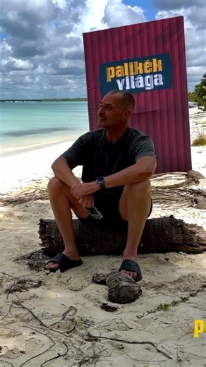 Palik László és a kóbor kutya esete