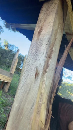 Estreno de hogar para Luchita y Lucrecia: nueva casita para los animales