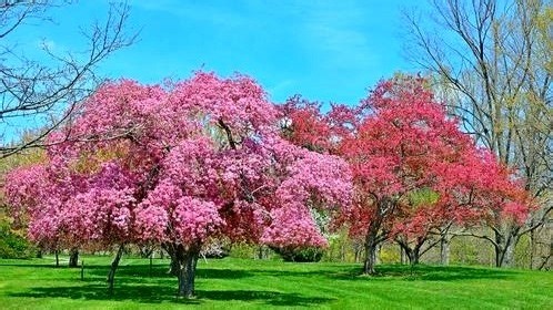 probuck防盗锁业(智能密码指纹锁)维修中心|24小时全国统一售后受理中心电话4000767098