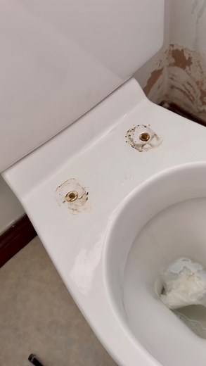 12K views · 1.1K reactions | there’s nothing like a DEEP toilet clean...