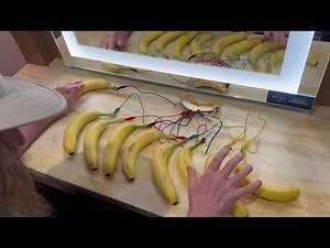 "Weird Al" Yankovic - Banana Synthesizer