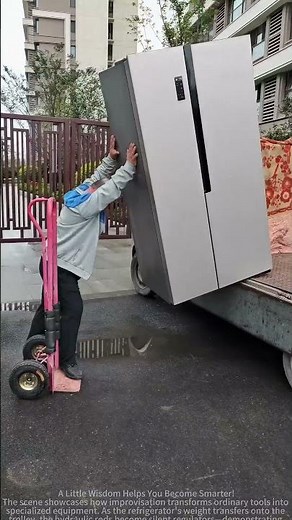 Sharing Methods for Moving a Large Refrigerator