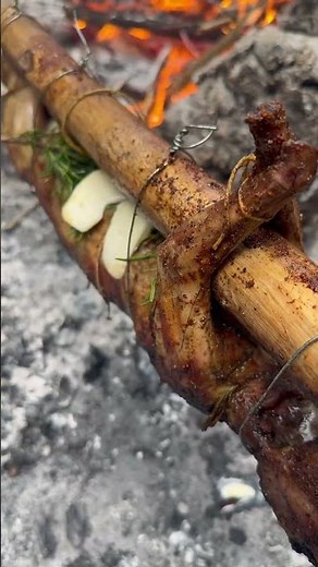 Primitive Fire Cooking – Wild Rabbit Over Coals
