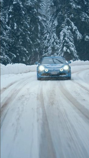 How does the Alpine A110S differential work?