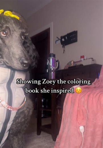 So apparently i inspired my human to create a story coloring book that teaches people to NOT TOUCH ME WHILE IM WORKING🐩😎 Is this suppose to impress me???? #zoey101poodle #sideeye #poodlesoftiktok #dogmoms #coloringbooks