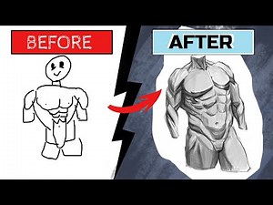 How to Draw Male & Female Torso Anatomy | Front & Back Step by Step