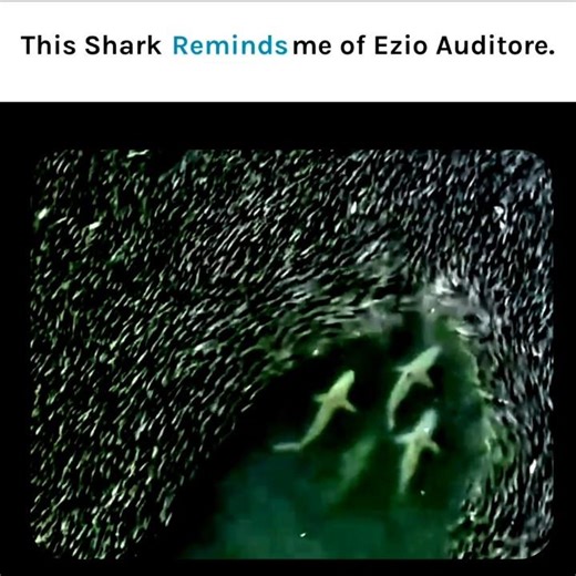 They see a Crowd. I see an Opportunity. #motivation #mindset #Ezio #auditores