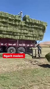 386K views · 2K reactions | Ngarit modern. #peternakan #sapi #domba #reels | Peternak Kambing Milenial | Facebook