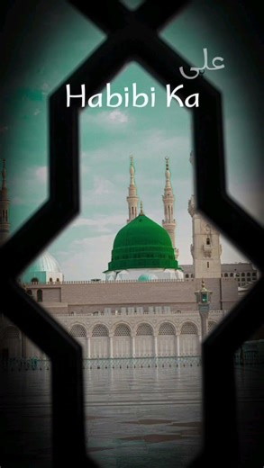 Madina Gallery Ep 4|Dar-ul-Fikr Library.