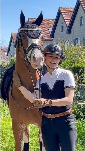 Big boy Super Cosmopolitan 🧡 #pony #horse #equestrian #cheval #pferde #horses #dressage