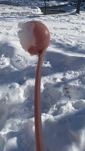 Jack Wallace on TikTok