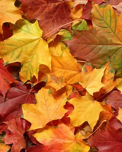 1K views | Your kind words, stories, and reviews keep us inspired to do what we do.  #Grateful | Scotch-Brite | Facebook