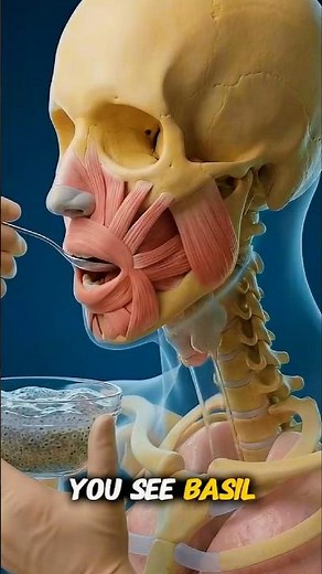 You Eat Basil Seeds? THIS Is What Happens Inside Your Body 😳🌱