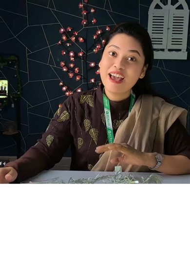 Moon and Star Decorative String Light