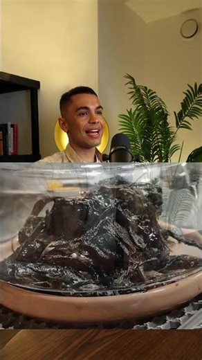 Meteorite in Panama Video Scam or Genuine: Alien Lifeform Or Venom Like Creature?