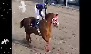 298K views · 3.6K reactions | Grupo Laberinto - Corridos De Caballos Mix | Eleazar Mendoza | Facebook