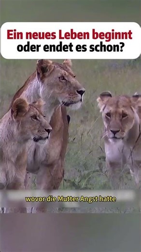 #DIY #repair #modification #build #machines #challenge #experiments #science