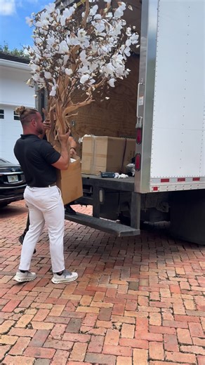 27K views · 57K reactions | The importance of accessories play a key role in the overall design of your home. Shop our showroom and accessorize like a pro with artificial plants and flowers from #cfadesigngroup Explore the infinite options by customizing your own or choosing one of our ready made designs. Open daily from 11 am to 7 pm 2533 nw 79th Ave Miami Fl 33122 | cfadesigngroup | Facebook