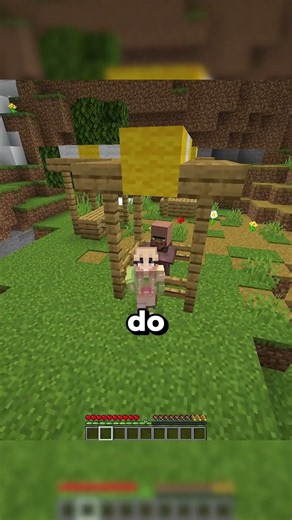 The Hidden Feature Of Zombie Villagers?! 🧟 #minecraft