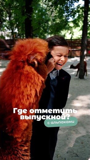 Насыщенный праздник для детей в компании пушистых друзей 🦙