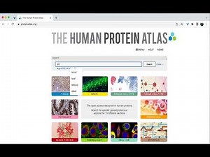 The Human Protein Atlas Tutorial Series: Gene summary information