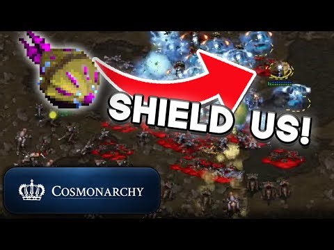 Our tourneys are the BEST! Protoss vs Zerg action