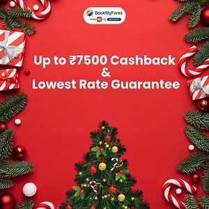 6 comments | ✨Merry Christmas, everyone! Our double crazy offer...