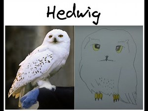 How to draw Harry Potter's owl Hedwig