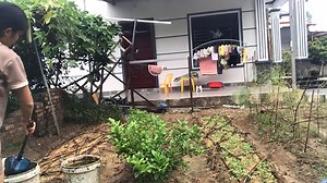 Top 5 Road Trip Tips for a Successful Journey'