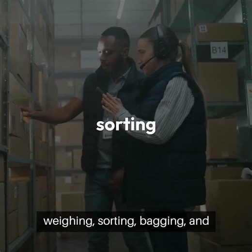 Inefficient Sorting and Warehouse Bottle | WallTech Solutions