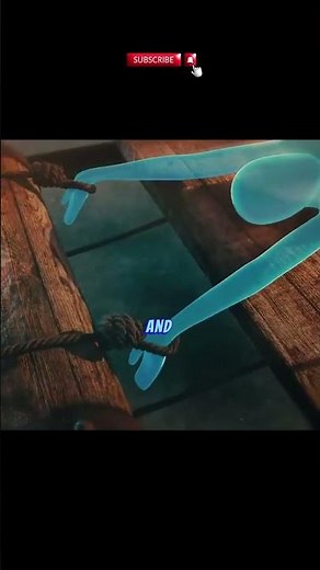 Most Brutal Medieval Torture Devices | The Rack Torture | 3D Scars